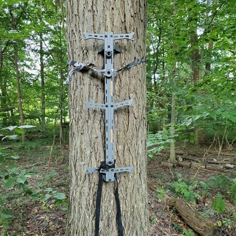 3 Pack Climbing Sticks - Helium Sticks for Hawk Hunting