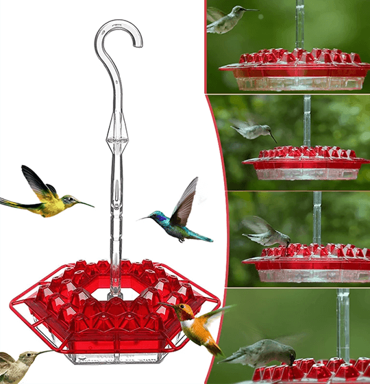 Mary's Sweety Hummingbird Feeder With Perch And Built-in Ant Moat