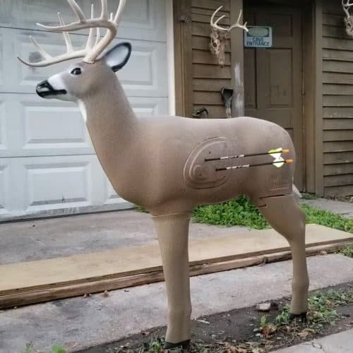 3d Deer Target | Deer Archery Target
