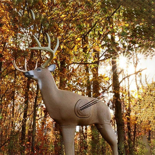 3d Deer Target | Deer Archery Target